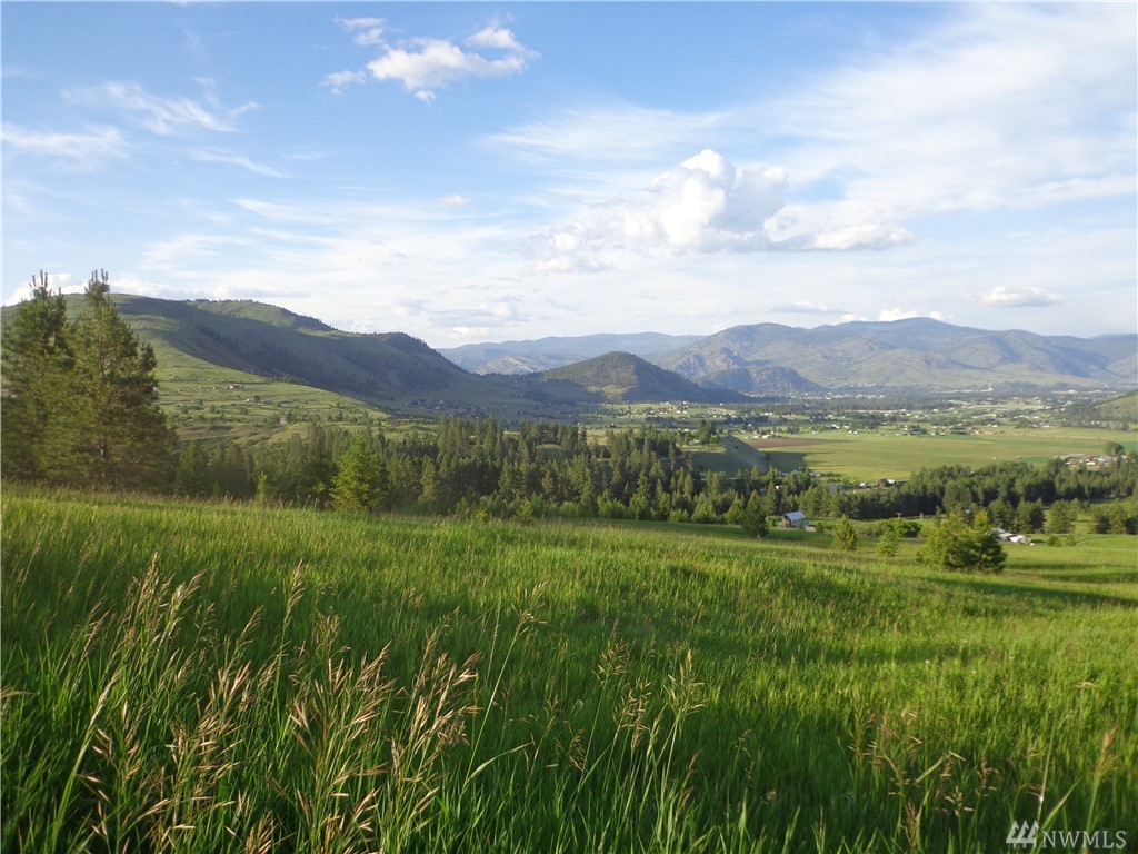 0 Lot 28 4th of July Creek Rd Unit  Danville WA 99121