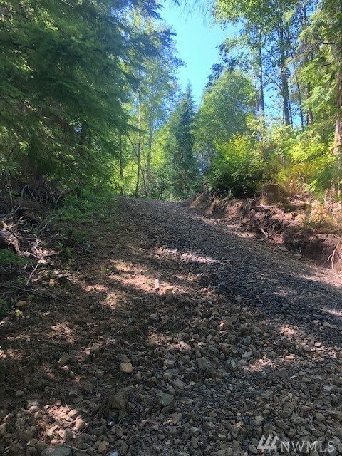 3890 B W State Route 4 Unit  Grays River WA 98621