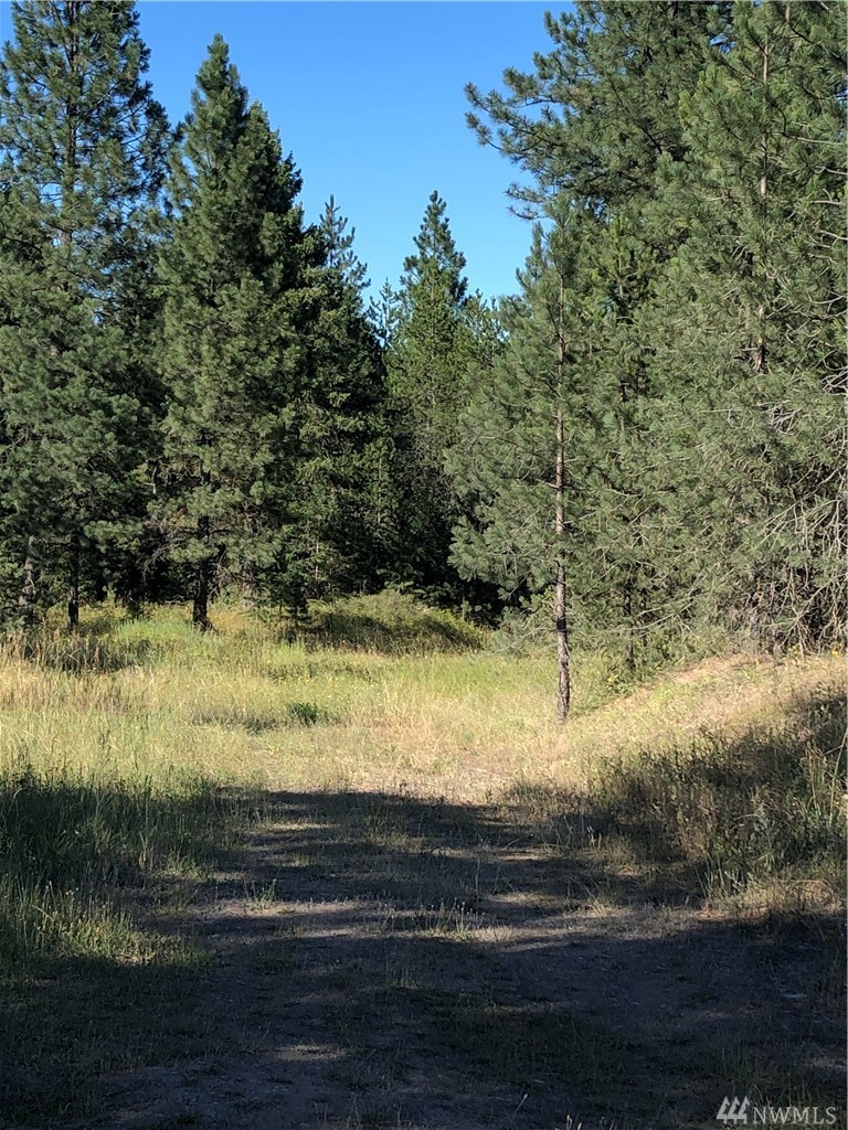 4028 Lumberg Rd Springdale WA 99173