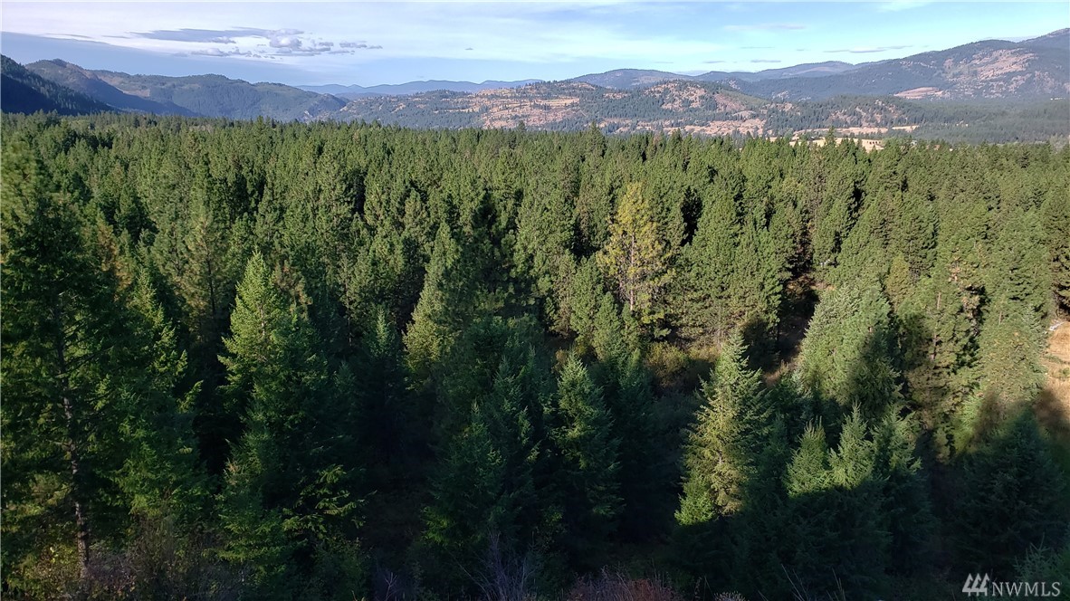 2642 Clugston Onion Creek Rd Northport WA 99157