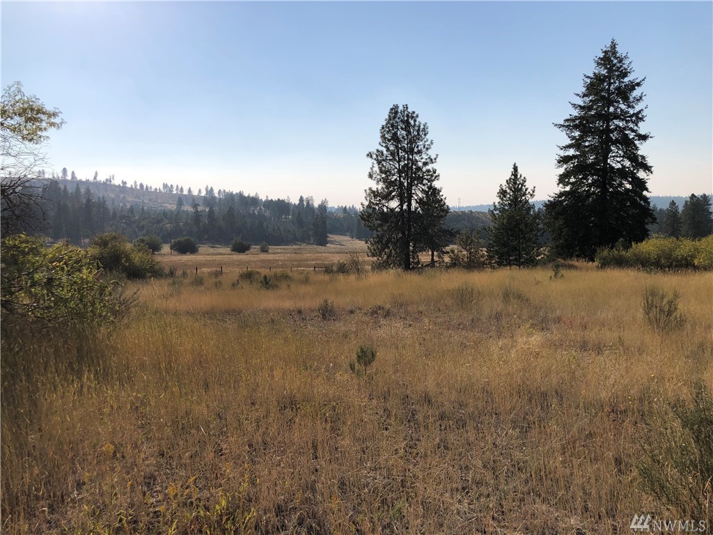 35475 SR 231 N Unit  Reardan WA 99029