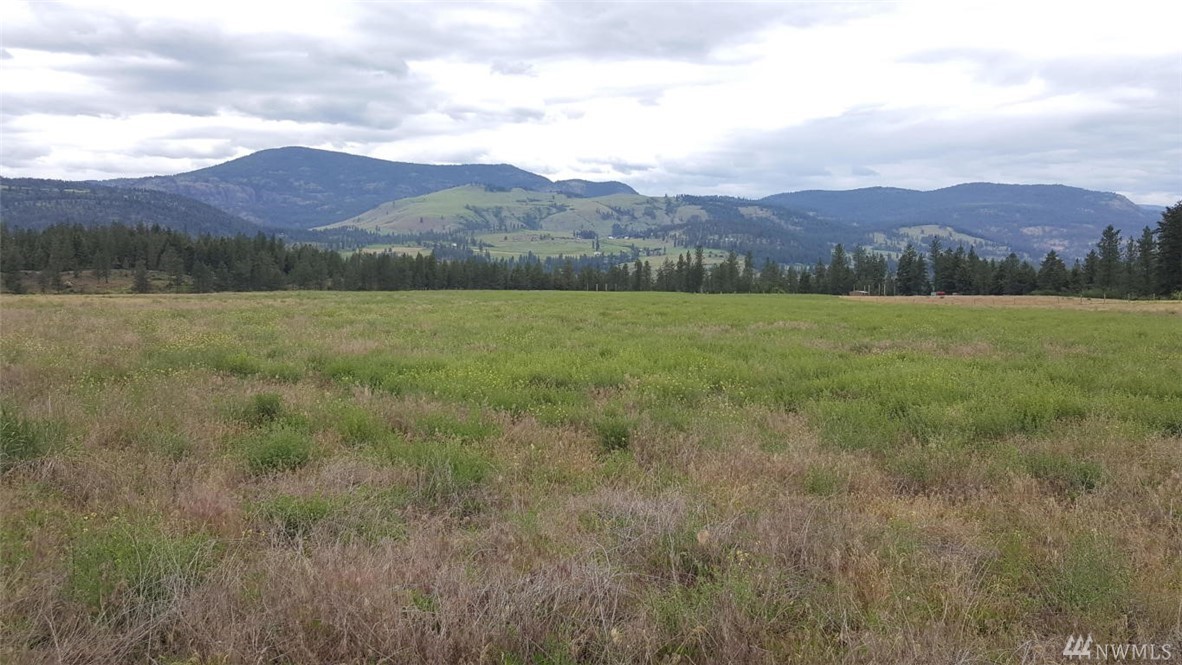 2100 River Rock Rd Rice WA 99167