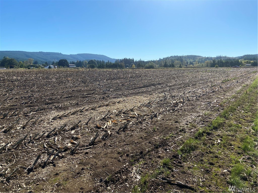Boistfort Rd Boistfort WA 98532