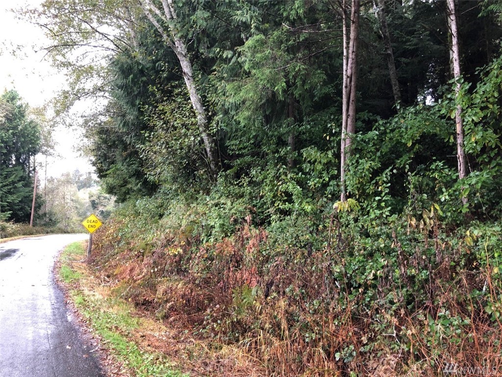 Seal River Rd Rosburg WA 98643