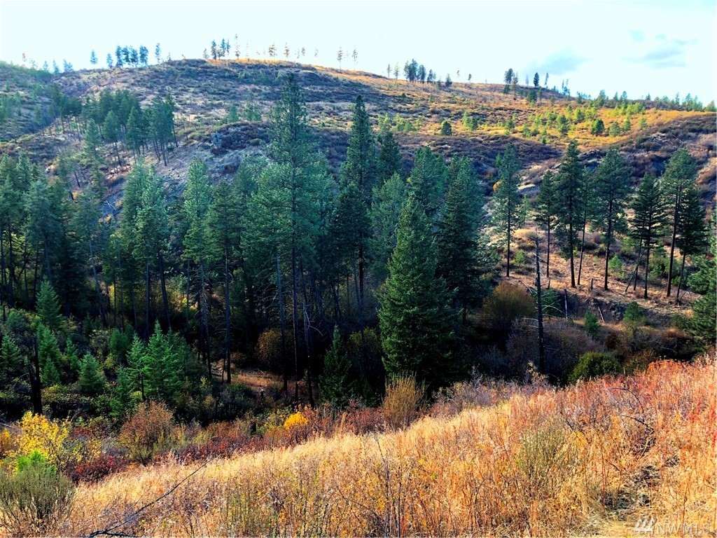 Hwy 231 Reardan WA 99029