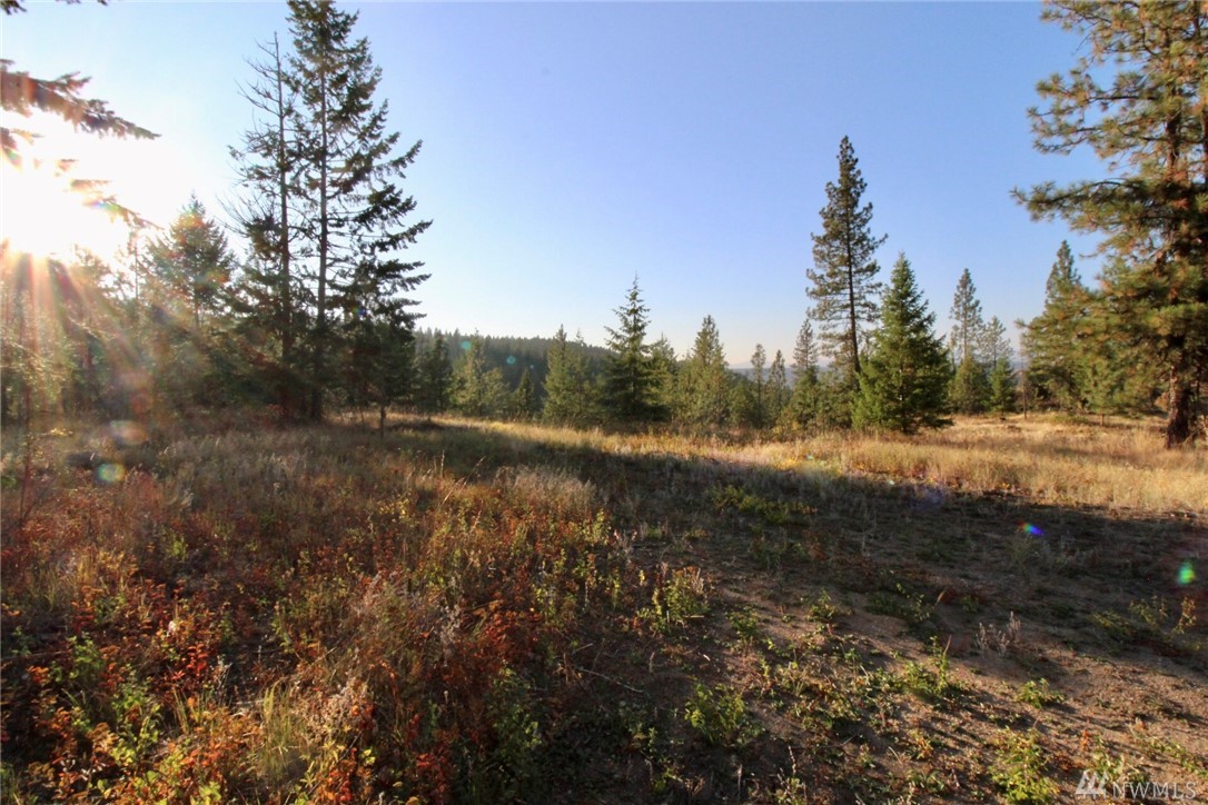 Rail Canyon Lot #3 Rd Unit  Ford WA 99013
