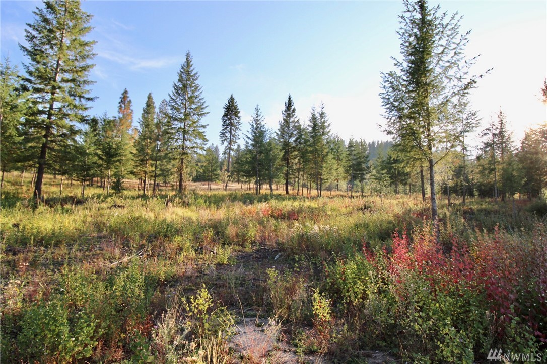 Rail Canyon Rd Lot 5 Unit  Ford WA 99013
