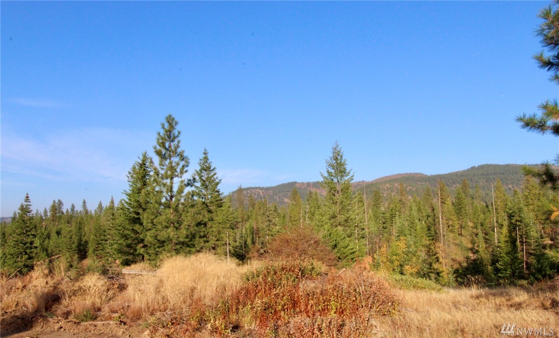 Rail Canyon Rd Lot 6 Unit  Ford WA 99013