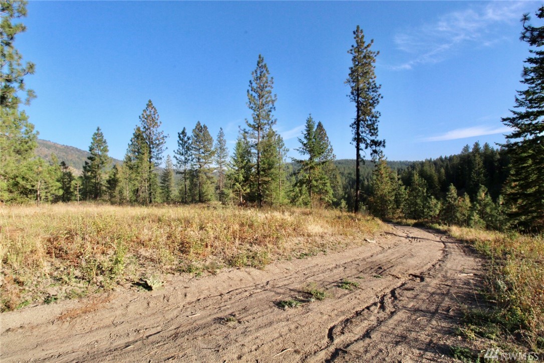 Rail Canyon Rd Lot 4 Unit  Ford WA 99013