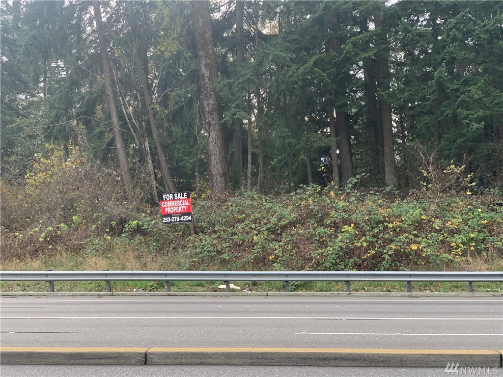 0 xxxx Hiway 410 E Bonney Lake WA 98391
