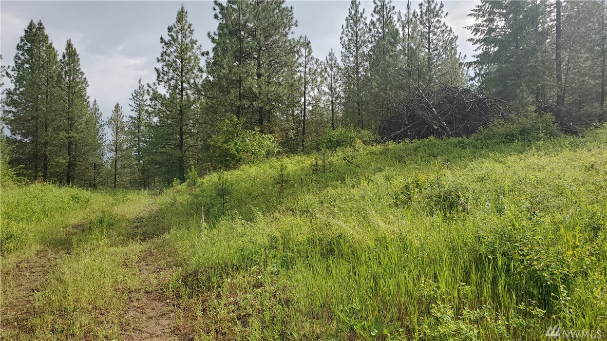 6269 Miller Mountain Rd Fruitland WA 99129