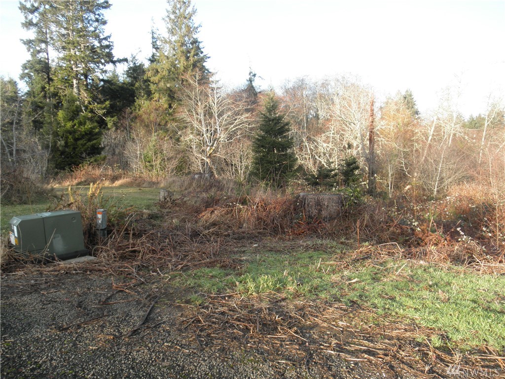 12 Bayshore Unit  Bay Center WA 98527