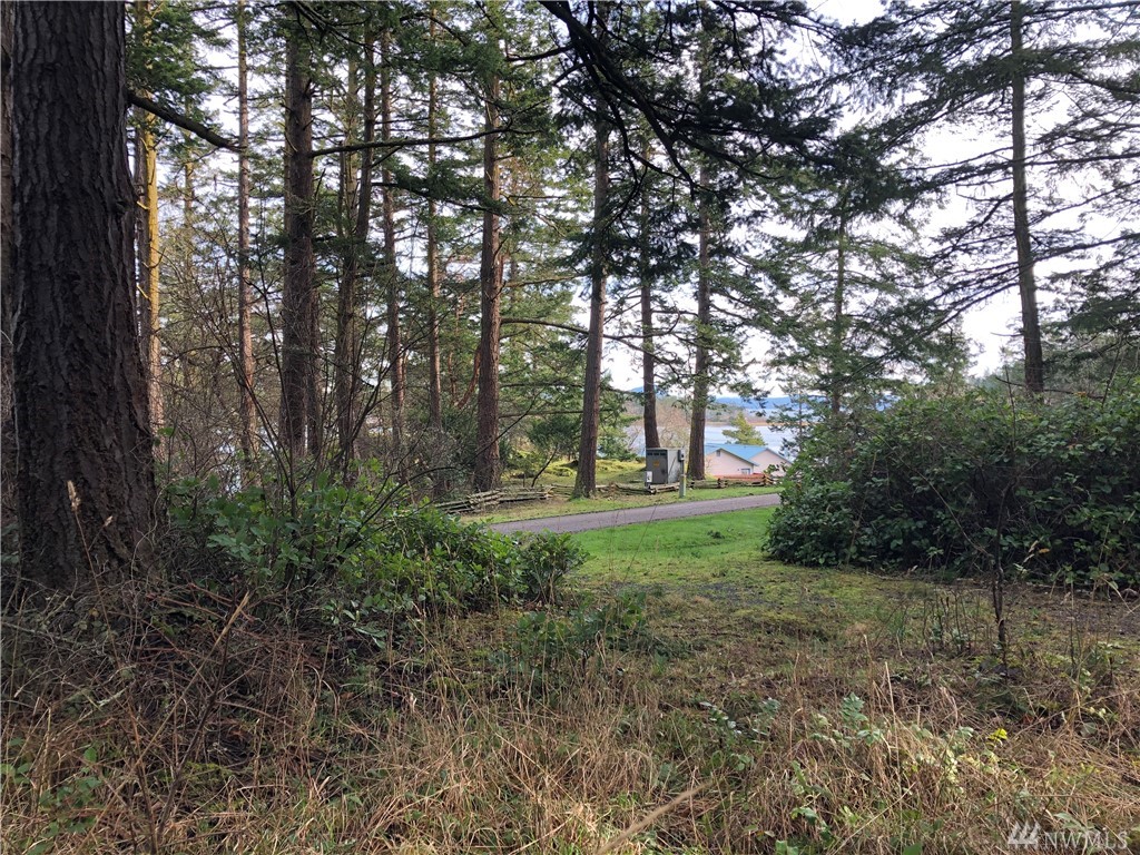 156 Center Island Unit  Center Island WA 98221