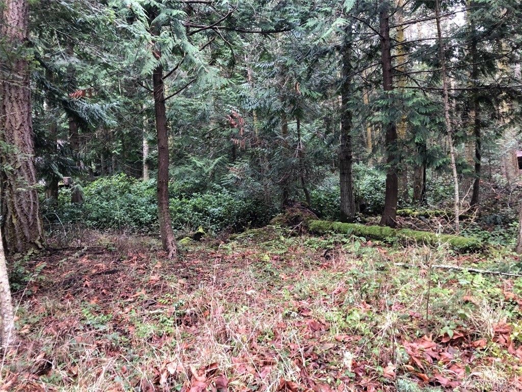 74 Center Island Unit  Center Island WA 98221