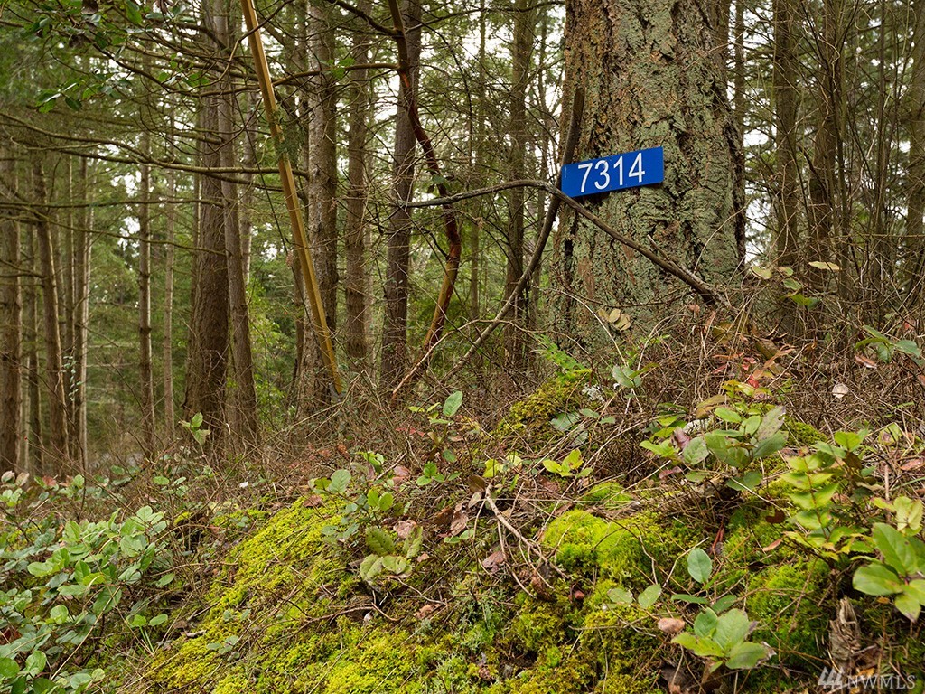 7314 Holiday Blvd Unit  Guemes Island WA 98221