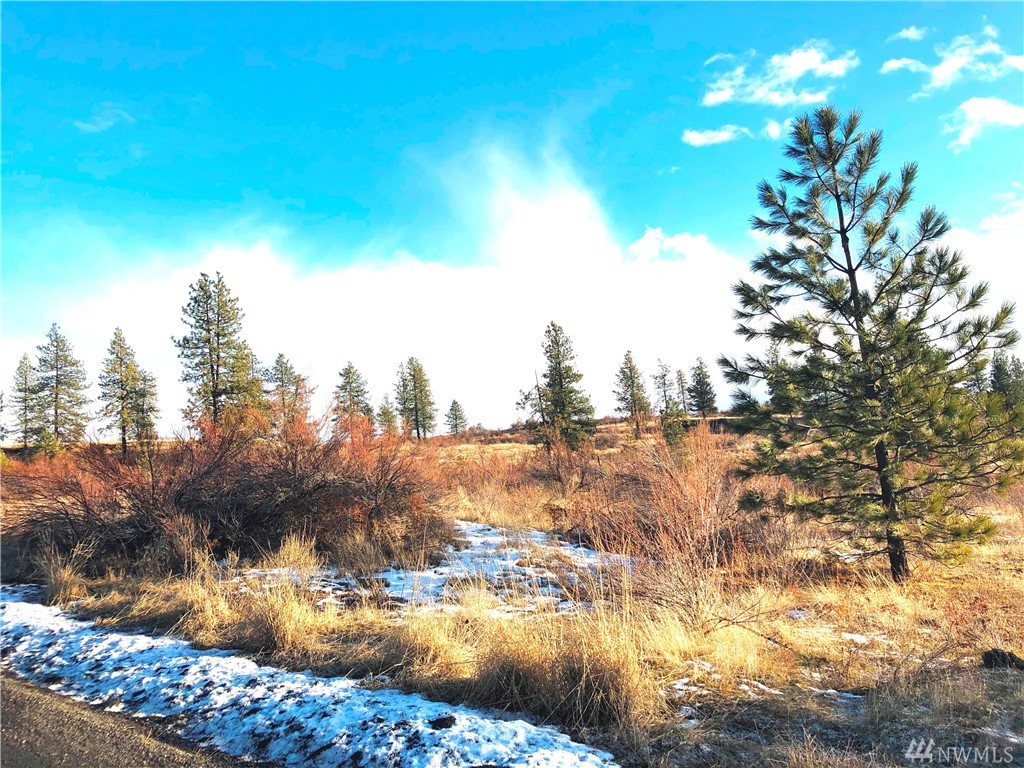27200 Underwood Canyon Rd E Lincoln WA 99117