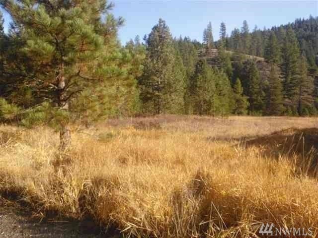 Powers Rd Loon Lake WA 99148