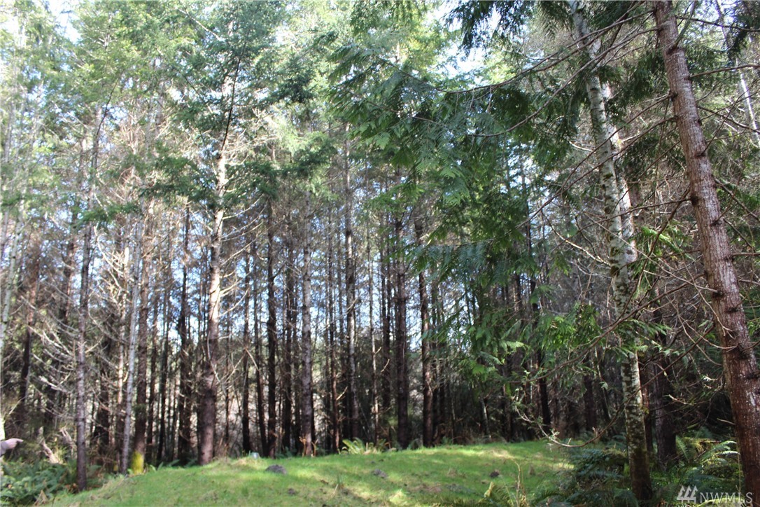48655 Highway 112 Unit  Joyce WA 98363