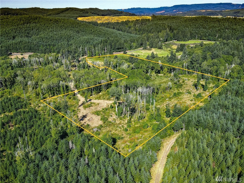 Lost Valley Rd Curtis WA 98532