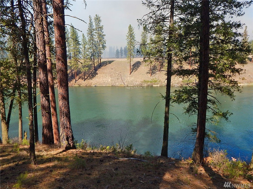 0 Lot 12 Wood Ln E Unit  Reardan WA 99013