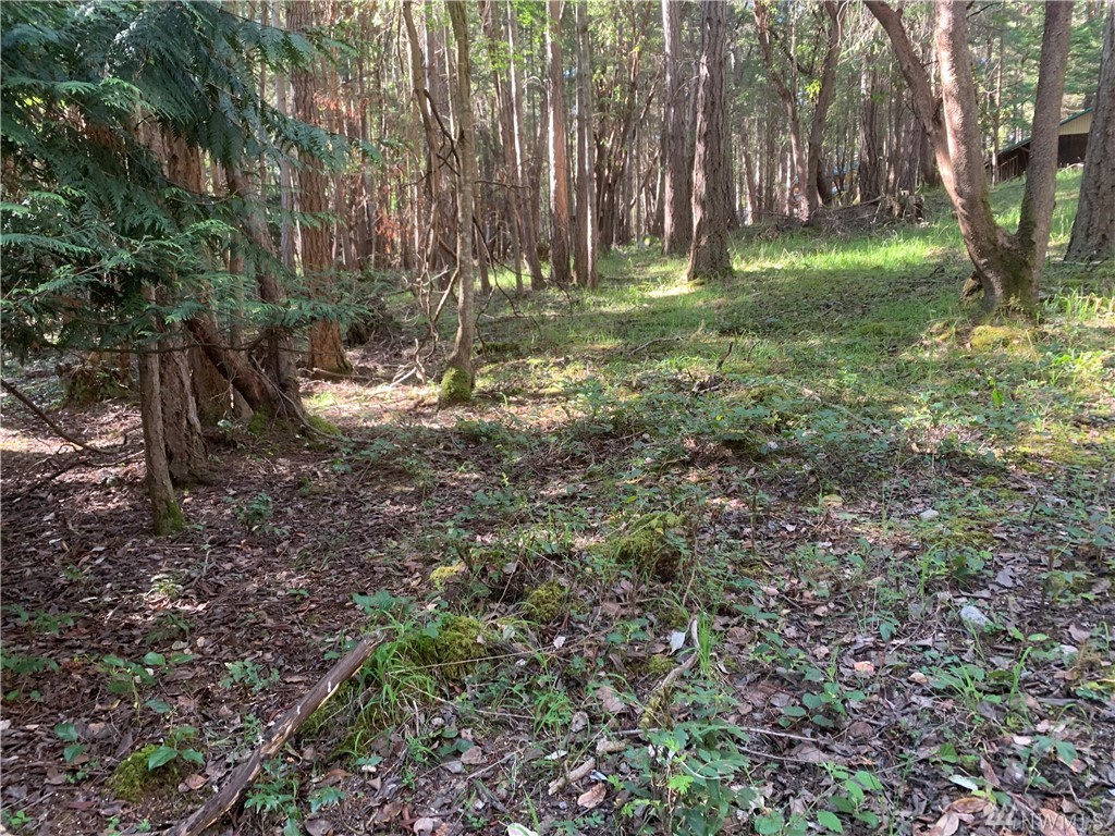 58 Marine Ln Unit  Stuart Island WA 98250