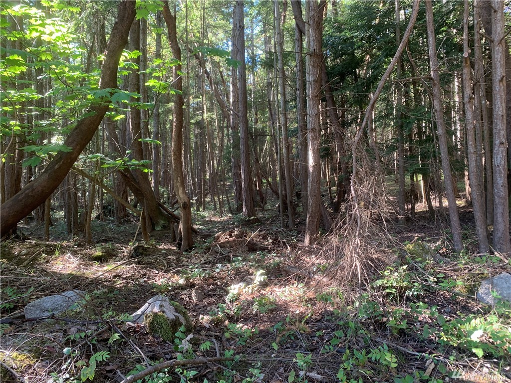 59 Marine Ln Unit  Stuart Island WA 98250