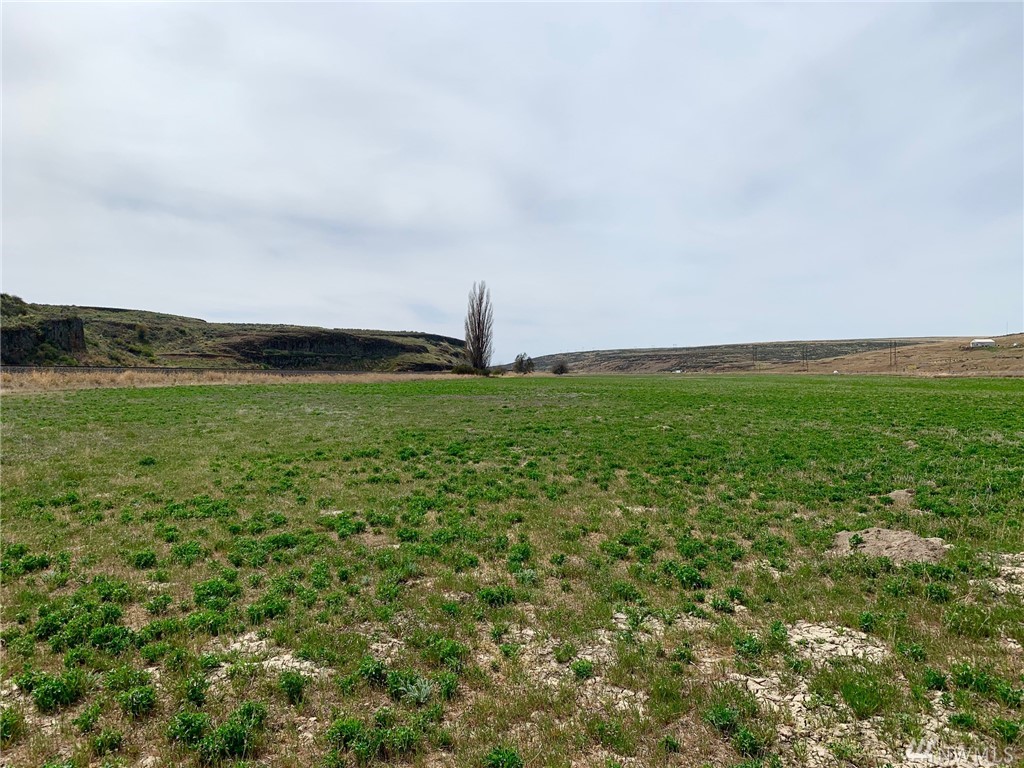 State Route 28 E Lamona WA 99144