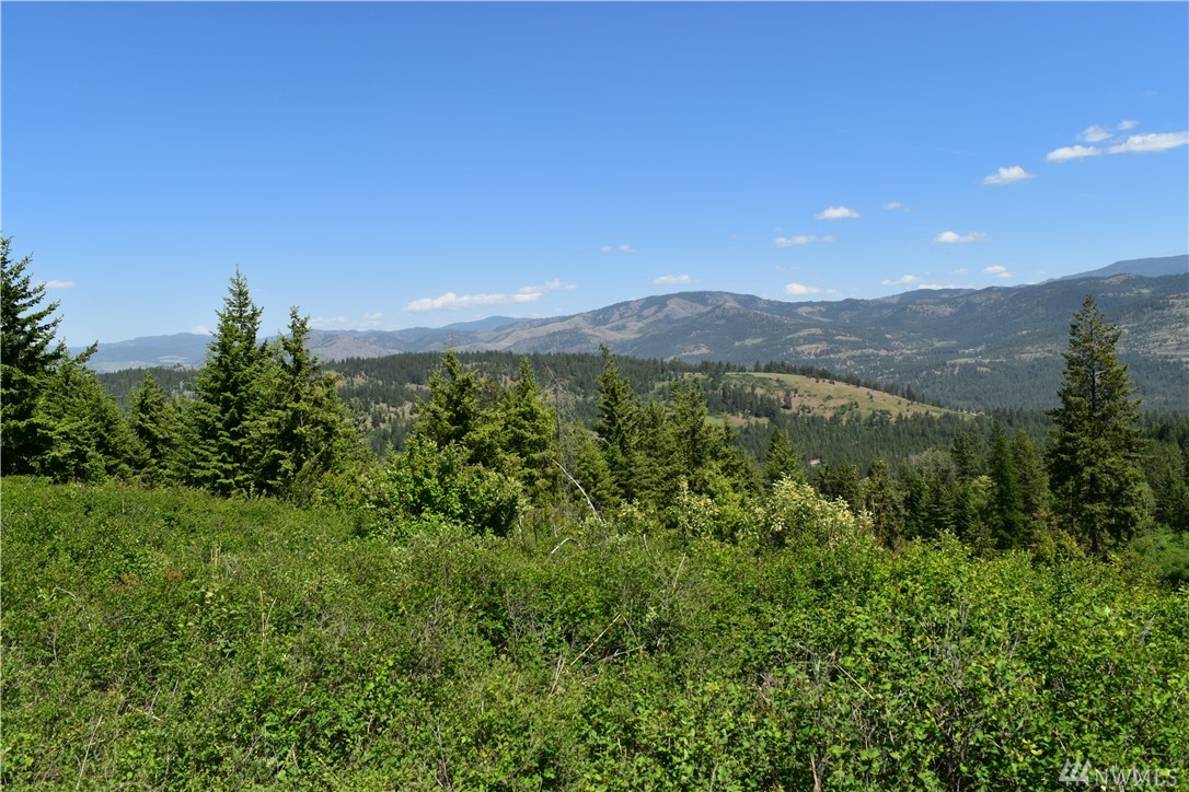 0 TBD Silver Creek Rd Inchelium WA 99138
