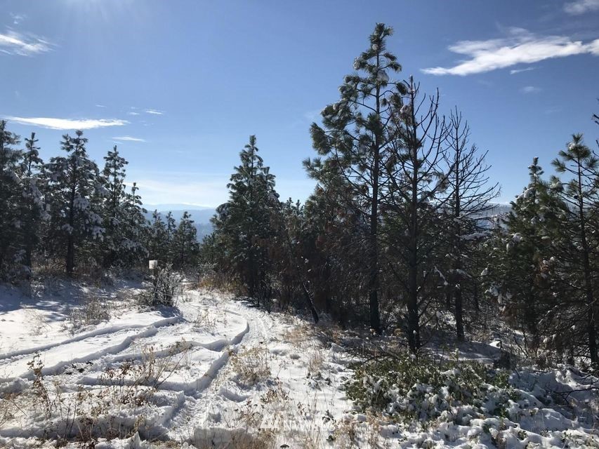 1 Entiat River Rd Ardenvoir WA 98811