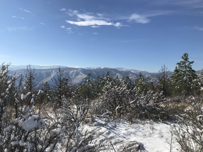 3 Entiat River Rd Ardenvoir WA 98811