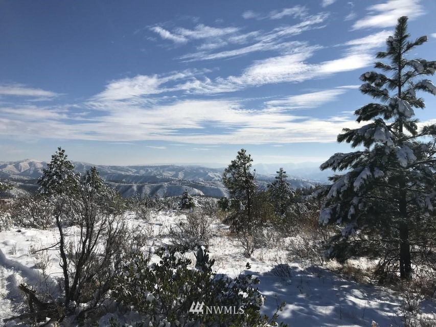 4 Entiat River Rd Ardenvoir WA 98811