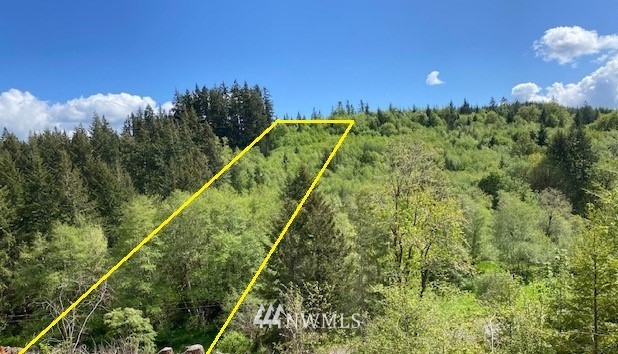 Lost Valley Rd Curtis WA 98538