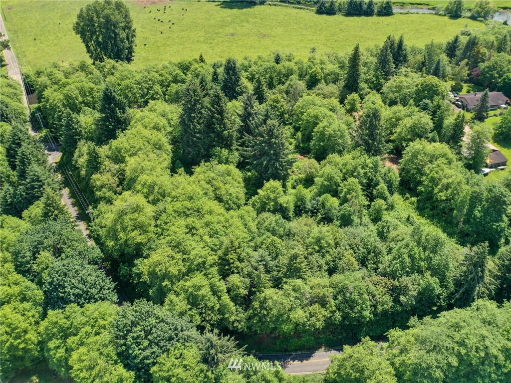 Covered Bridge Rd Grays River WA 98621