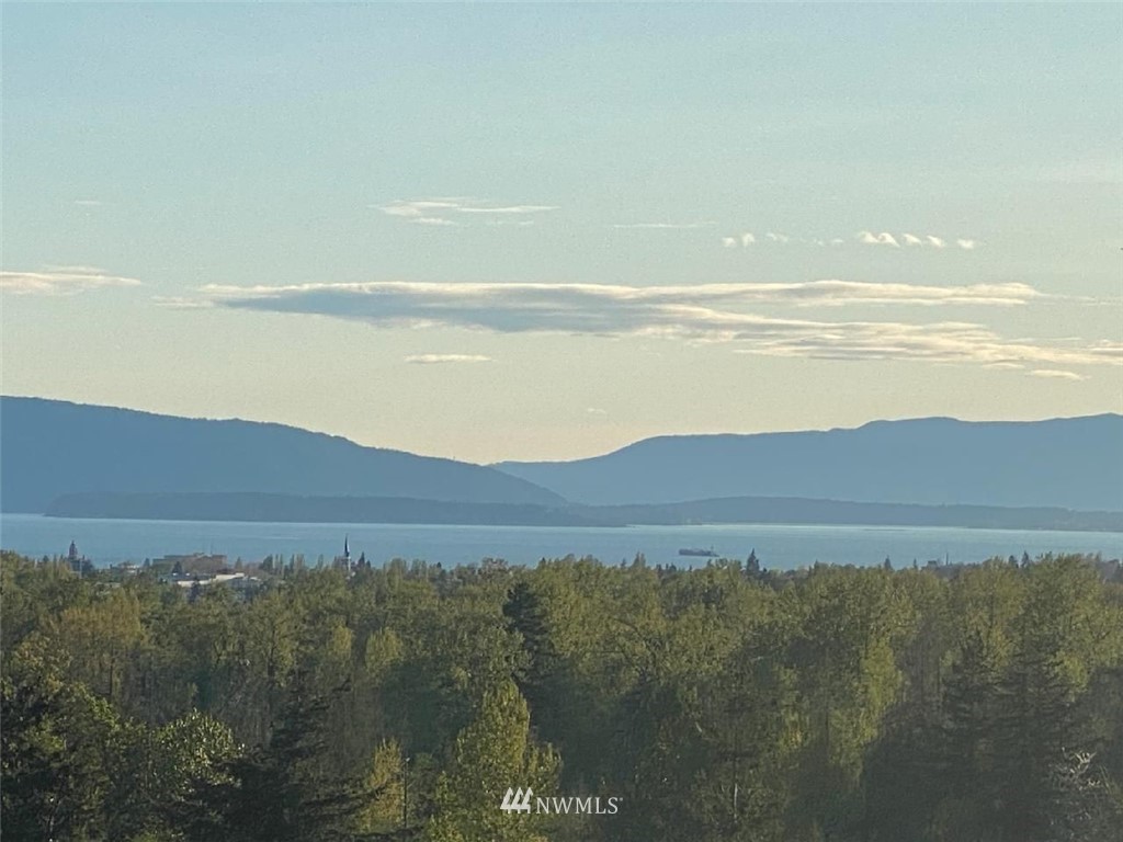 3328 Stonecrop Way Unit  Bellingham WA 98226