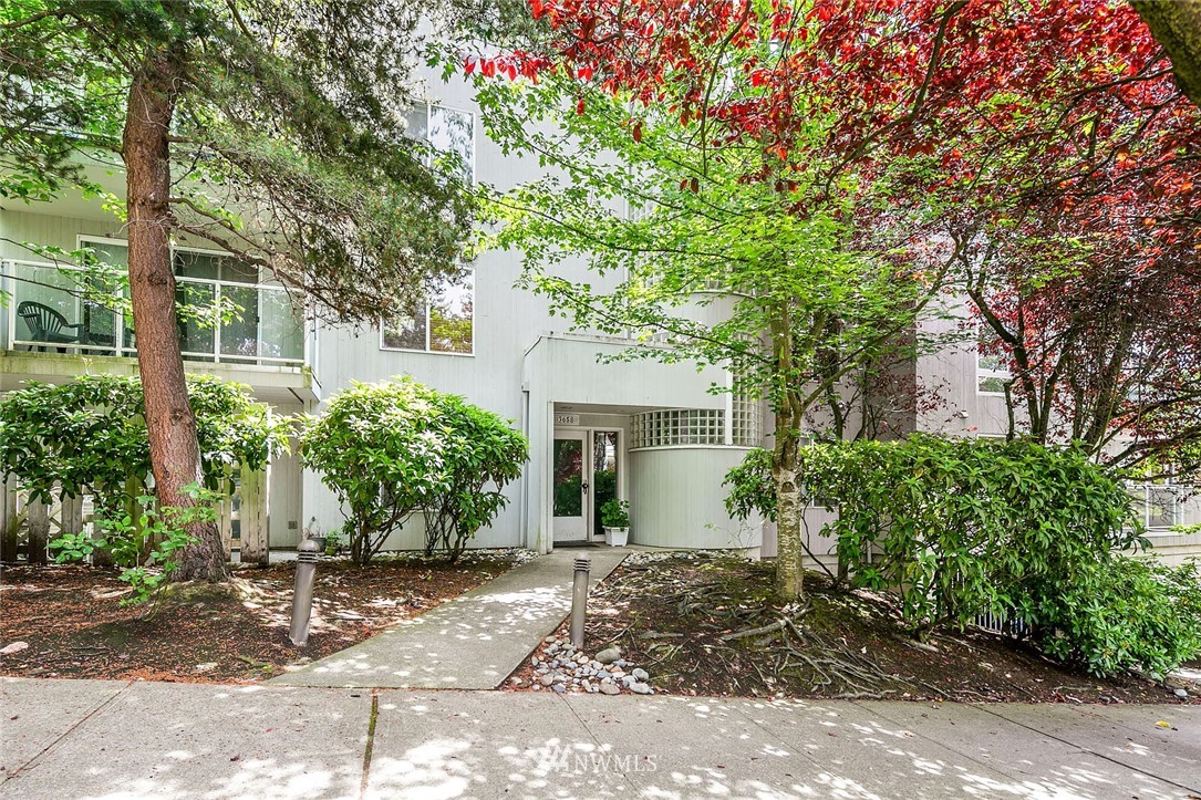 3658 Dayton Ave N Unit 103 Unit 103 Seattle WA 98103