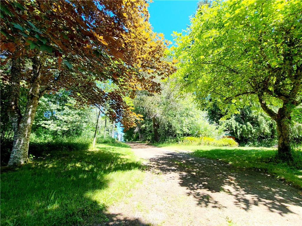 16 McAfee Rd Unit  Humptulips WA 98552