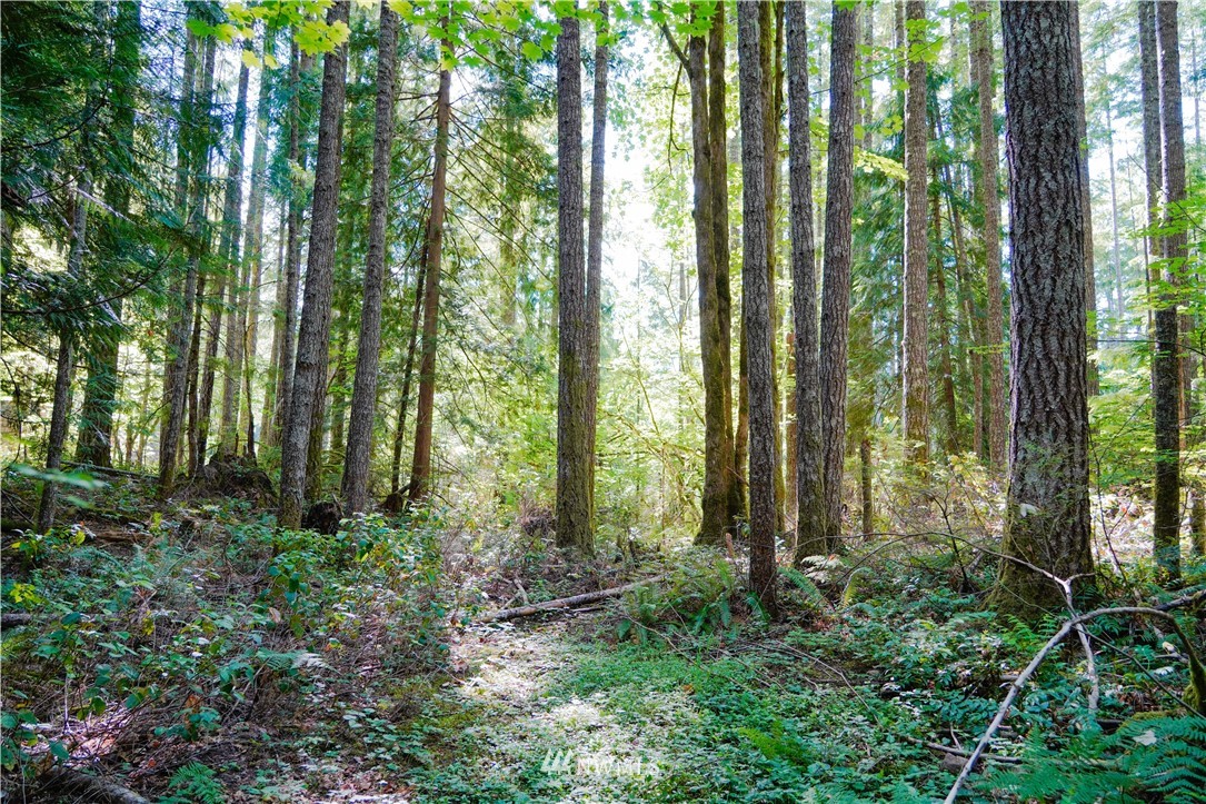 50 N Mt Rose Pl Unit  Hood Canal WA 98548
