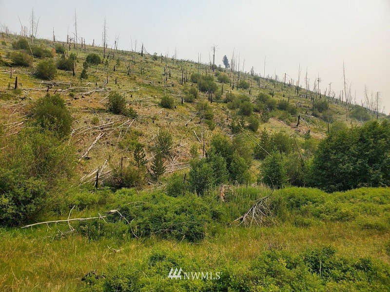 Mountain Rd Pomeroy WA 99347