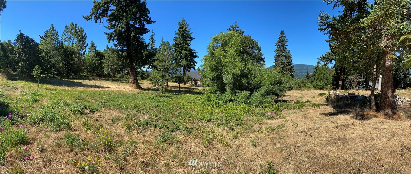 705 NW Loop Rd White Salmon WA 98672