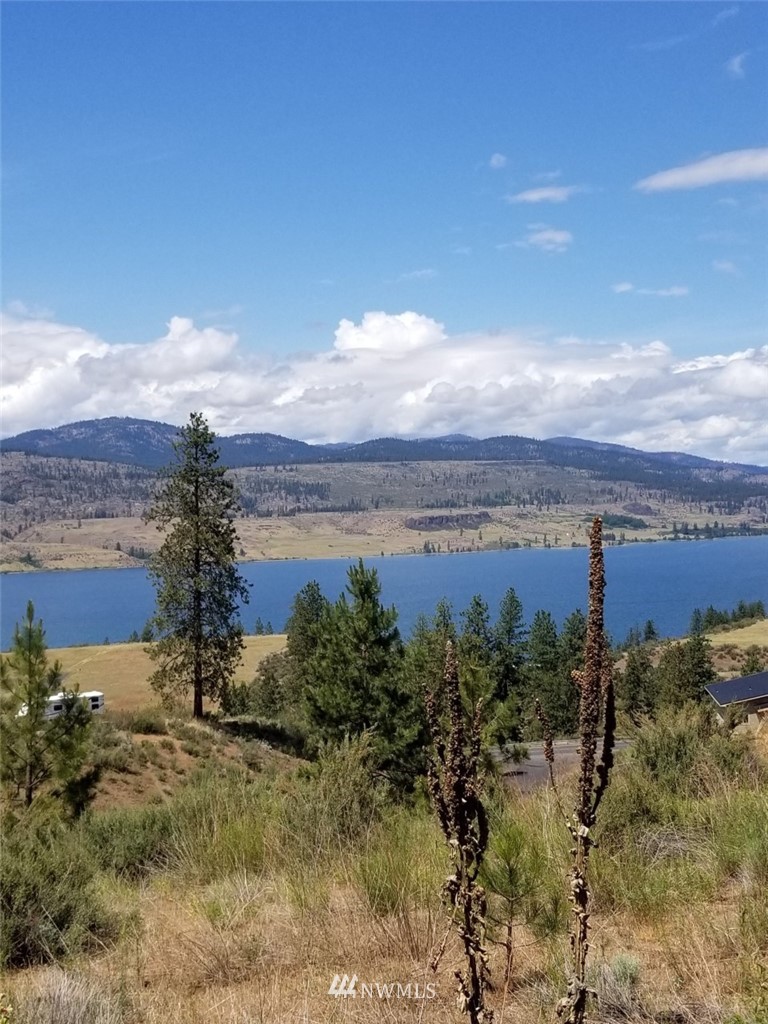 29815 Blue Sky Dr E Unit  Seven Bays WA 99122