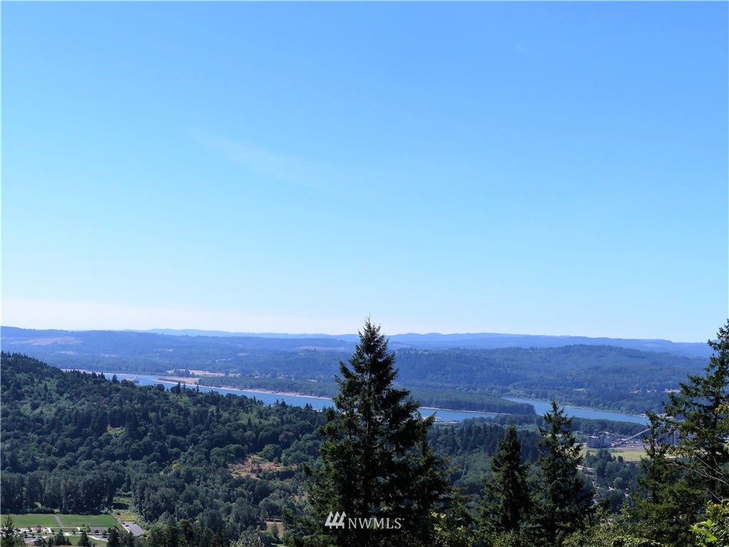 1065 Mt Pleasant Rd Carrolls WA 98626