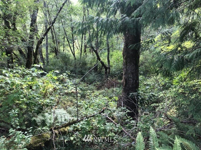 Friday Creek Rd Alger WA 98233