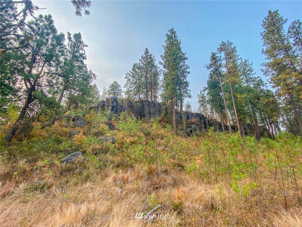 S Short Rd Cheney WA 99004