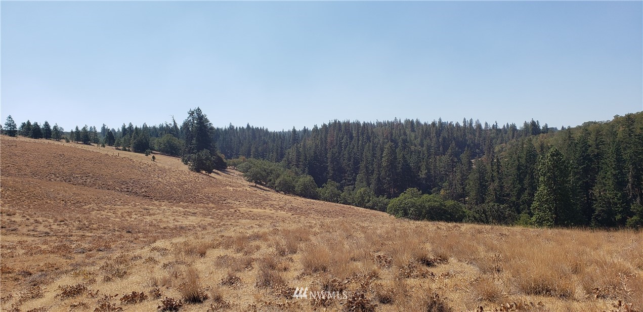 Red Tail Rd E Unit  Lyle WA 98635