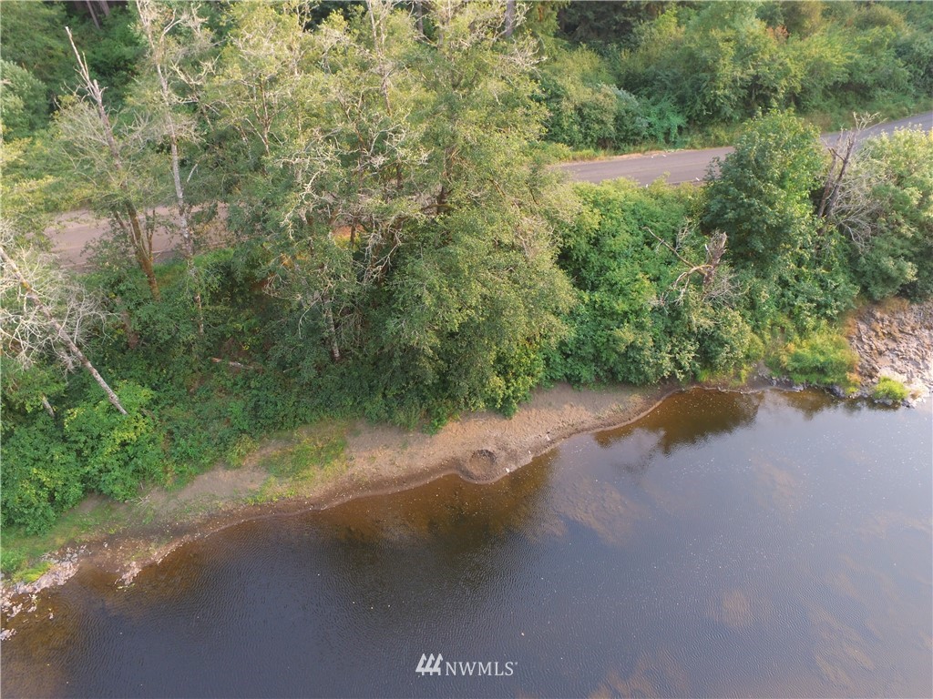 River Rd N Boistfort WA 98532