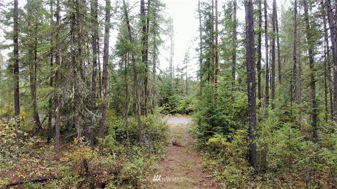 101 Arthurs Blvd Cusick WA 99119