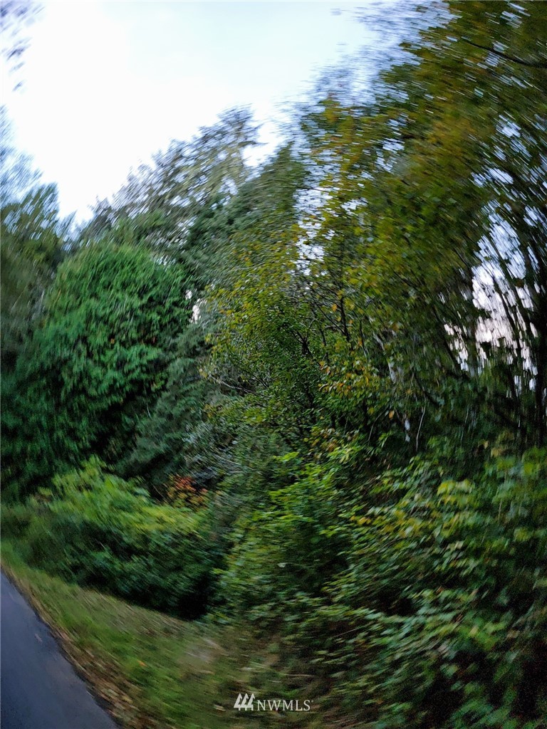 227 Hull Creek Rd Grays River WA 98621