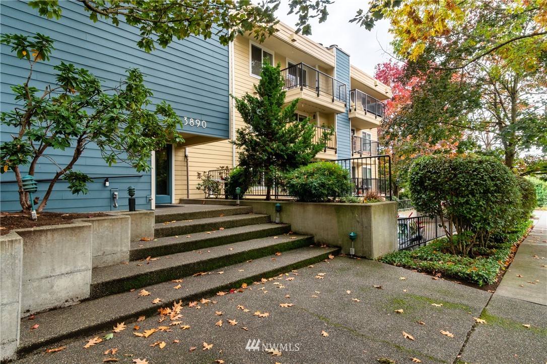 3890 Whitman Ave N Unit 103 Unit 103 Seattle WA 98103