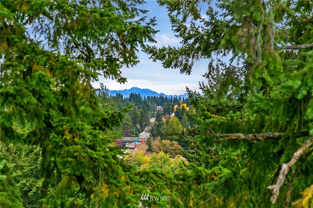 17417 Ashworth Ave N Unit 401 Unit 401 Shoreline WA 98133