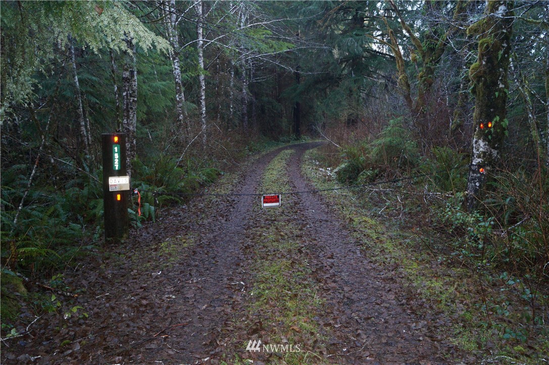 1527 Kirkpatrick Rd Humptulips WA 98552